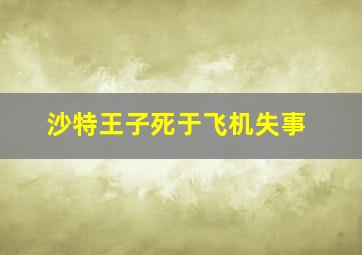 沙特王子死于飞机失事