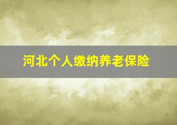 河北个人缴纳养老保险