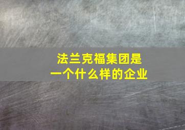 法兰克福集团是一个什么样的企业