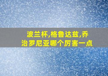 波兰杯,格鲁达兹,乔治罗尼亚哪个厉害一点