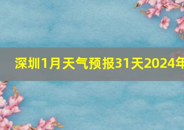 深圳1月天气预报31天2024年