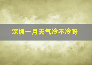 深圳一月天气冷不冷呀