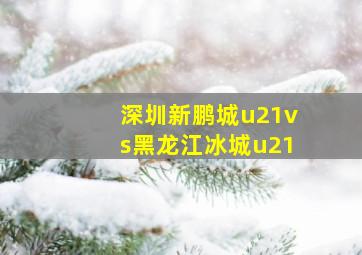 深圳新鹏城u21vs黑龙江冰城u21