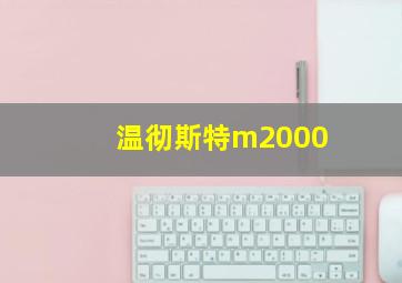 温彻斯特m2000