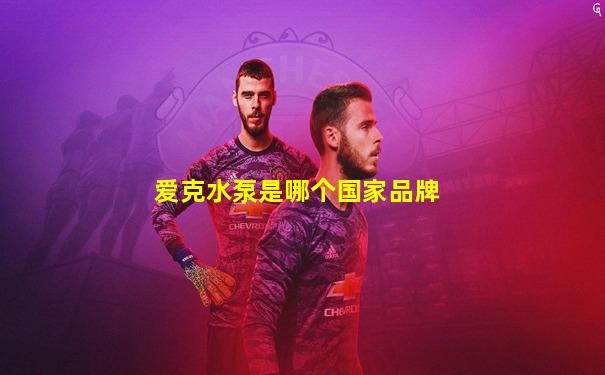 爱克水泵是哪个国家品牌