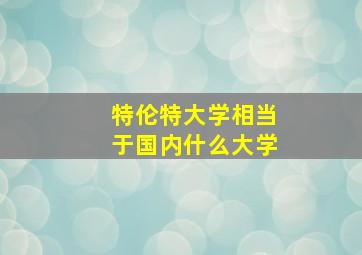 特伦特大学相当于国内什么大学