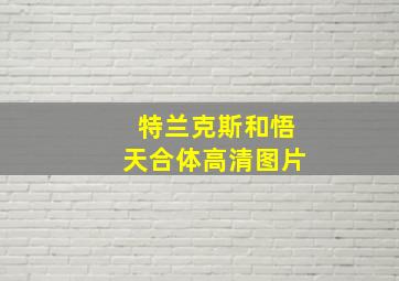 特兰克斯和悟天合体高清图片