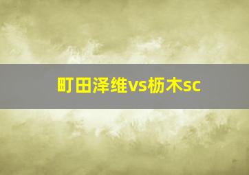 町田泽维vs枥木sc