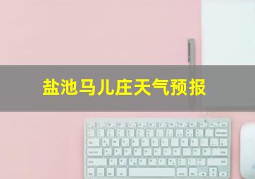 盐池马儿庄天气预报