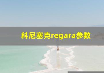 科尼塞克regara参数