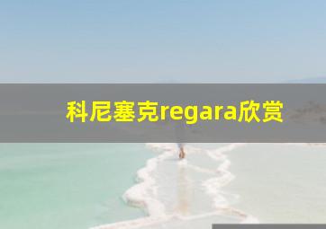 科尼塞克regara欣赏