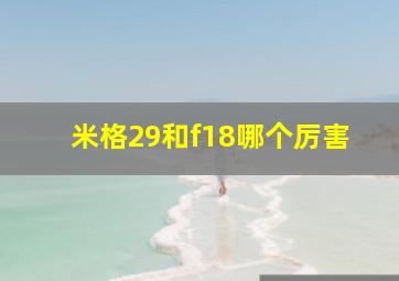 米格29和f18哪个厉害