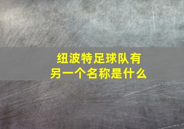 纽波特足球队有另一个名称是什么