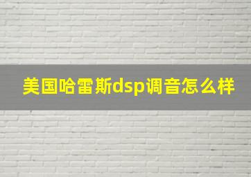 美国哈雷斯dsp调音怎么样