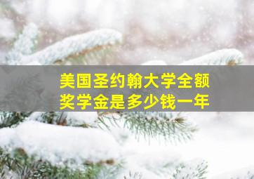 美国圣约翰大学全额奖学金是多少钱一年