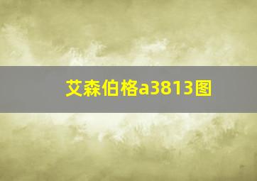 艾森伯格a3813图