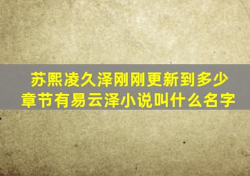 苏熙凌久泽刚刚更新到多少章节有易云泽小说叫什么名字