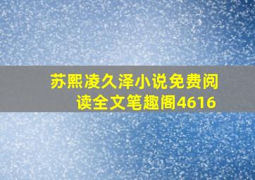 苏熙凌久泽小说免费阅读全文笔趣阁4616