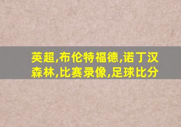 英超,布伦特福德,诺丁汉森林,比赛录像,足球比分