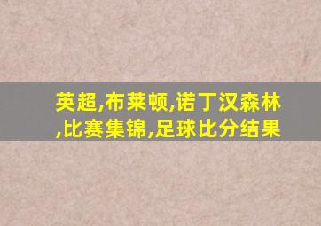 英超,布莱顿,诺丁汉森林,比赛集锦,足球比分结果