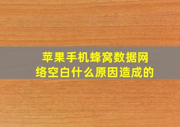 苹果手机蜂窝数据网络空白什么原因造成的