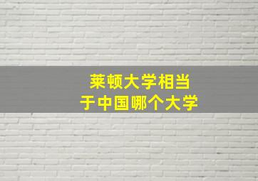 莱顿大学相当于中国哪个大学