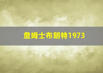 詹姆士布朗特1973