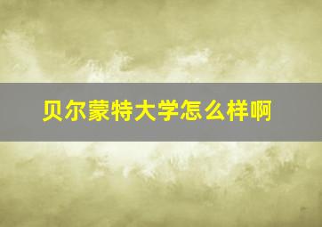 贝尔蒙特大学怎么样啊