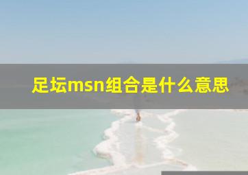 足坛msn组合是什么意思