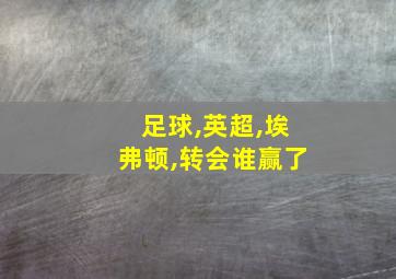 足球,英超,埃弗顿,转会谁赢了