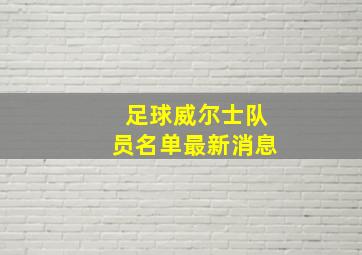 足球威尔士队员名单最新消息