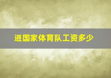 进国家体育队工资多少