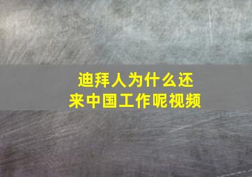 迪拜人为什么还来中国工作呢视频