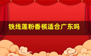 铁线莲粉香槟适合广东吗