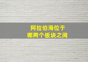 阿拉伯海位于哪两个板块之间