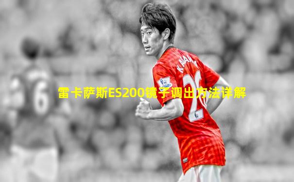 雷卡萨斯ES200镜子调出方法详解