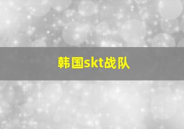 韩国skt战队