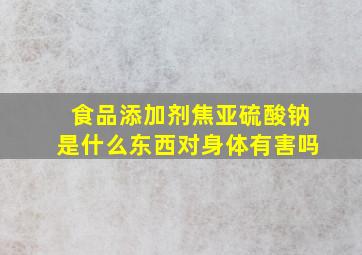 食品添加剂焦亚硫酸钠是什么东西对身体有害吗