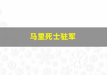 马里死士驻军