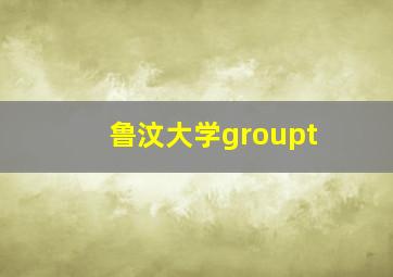 鲁汶大学groupt