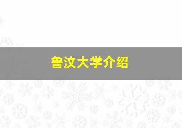 鲁汶大学介绍