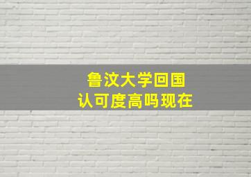 鲁汶大学回国认可度高吗现在